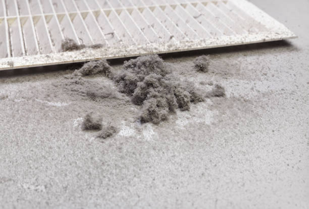 Ventilation Cleaning Services in Alliance, NC