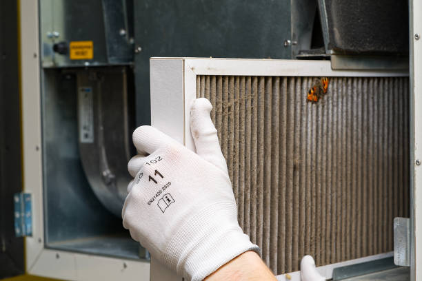 Best Emergency Air Duct Cleaning  in Alliae, NC