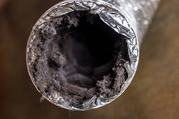  Alliae, NC Airduct Cleaning Pros